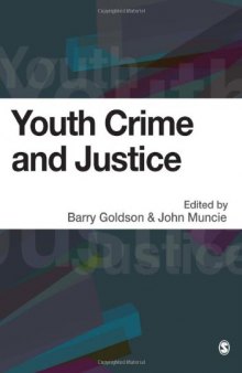 Youth Crime and Justice