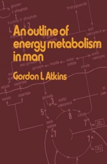 An Outline of Energy Metabolism in Man