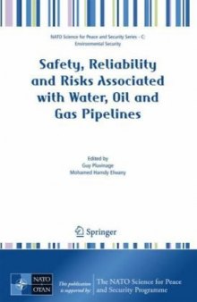 Safety, Reliability and Risks Associated with Water, Oil and Gas Pipelines (NATO Science for Peace and Security Series C: Environmental Security)