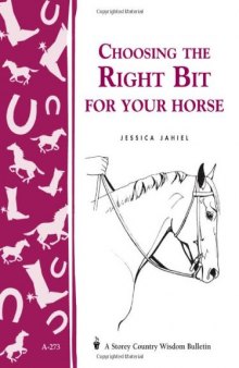 Choosing the Right Bit for Your Horse