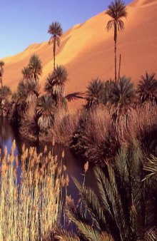 sustainable landscape design in arid climates