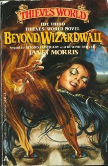 Beyond Wizardwall (Thieves' World, No 3)