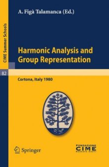 Harmonic Analysis and Group Representation
