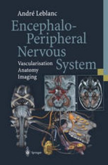 Encephalo-Peripheral Nervous System: Vascularisation Anatomy Imaging