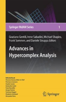 Advances in hypercomplex analysis