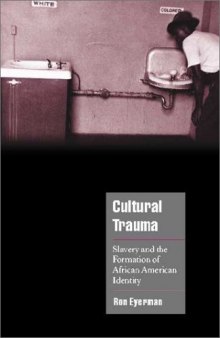 Cultural Trauma: Slavery and the Formation of African American Identity (Cambridge Cultural Social Studies)