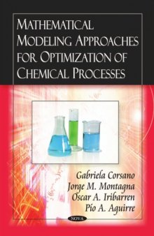 Mathematical modeling approaches for optimization of chemical processes