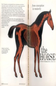 Horse: From Conception to Maturity  