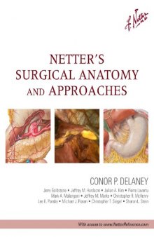 Netter's Surgical Anatomy and Approaches, 1e