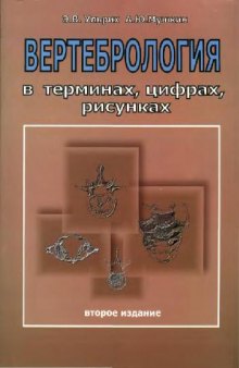 Вертебрология в терминах, цифрах, рисунках