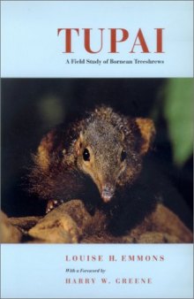 Tupai: A Field Study of Bornean Treeshrews