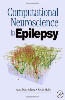 Computational Neuroscience in Epilepsy