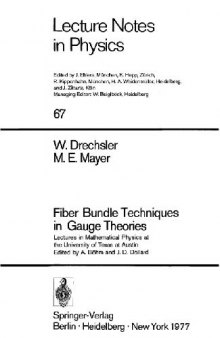 Fiber bundle techniques in gauge theories