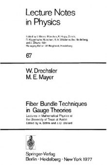 Fiber Bundle Techniques in Gauge Theories