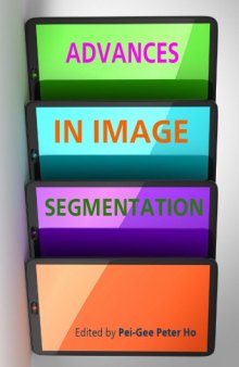 Advances in image segmentation