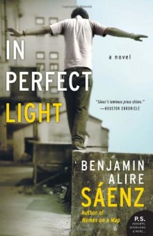 In Perfect Light: A Novel (P.S.)