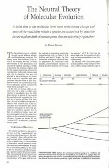  241 5 The neutral theory of molecular evolution (Scientific American Magazine)