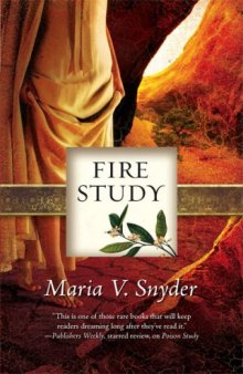 Fire Study (Study, Book 3)  