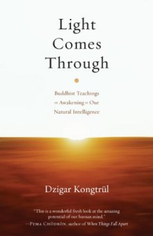 Light Comes Through: Buddhist Teachings on Awakening to Our Natural Intelligence