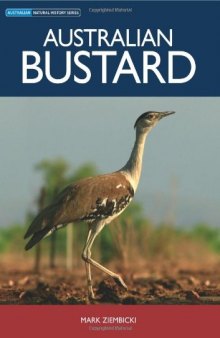 Australian Bustard 
