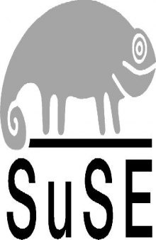 SuSE Linux Enterprise Server 8 Install