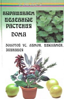 Выращиваем целебные растения дома. Золотой ус, лимон, цикламен, эхинацея