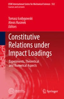 Constitutive Relations under Impact Loadings: Experiments, Theoretical and Numerical Aspects