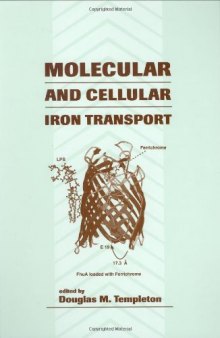 Molecular and Cellular Iron Transport