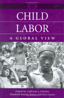 Child Labor: A Global View (A World View of Social Issues)