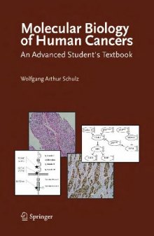 Molecular Biology of Human Cancers An Advanced Student's Textbook
