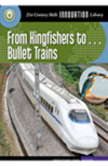 From Kingfishers to... Bullet Trains
