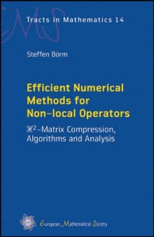 Efficient Numerical Methods for Non-local Operators, H^2-matrix compression, Algorithms and Analysis (Ems Tracts in Mathematics)