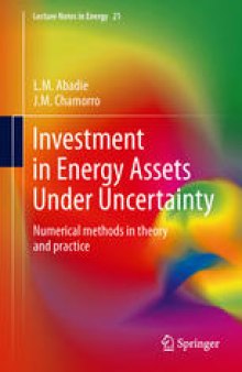 Investment in Energy Assets Under Uncertainty: Numerical methods in theory and practice
