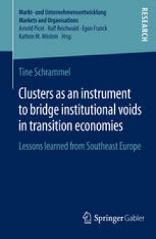 Clusters as an instrument to bridge institutional voids in transition economies: Lessons learned from Southeast Europe
