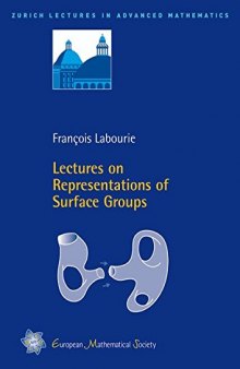 Lectures on Representations of Surface Groups