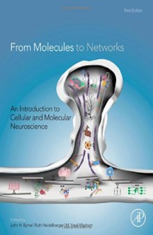 From molecules to networks : an introduction to cellular and molecular neuroscience