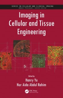 Imaging in cellular and tissue engineering
