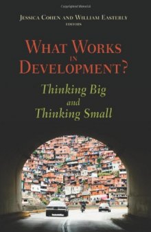 What Works in Development?: Thinking Big and Thinking Small  