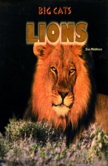 Lions (Big Cats)