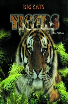 Tigers (Big Cats)