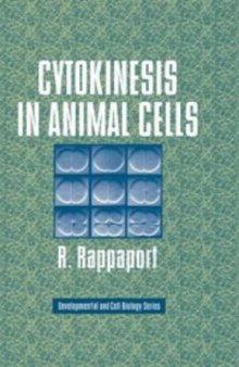 Cytokinesis in animal cells