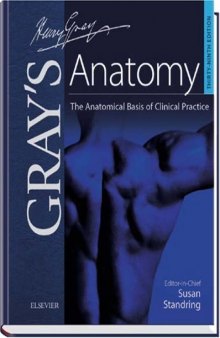 Grey s Anatomy