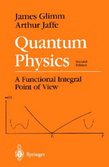Quantum physics: a functional integral point of view