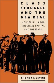 Class Struggle and the New Deal: Industrial Labour, Industrial Capital and the State (Studies in historical social change)