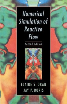 Numerical Simulation of Reactive Flow