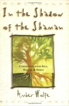 In the Shadow of the Shaman (Llewellyn's New World Spirituality)  