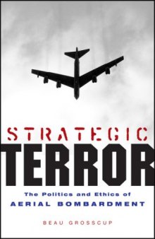Strategic Terror: The Politics and Ethics of Aerial Bombardment