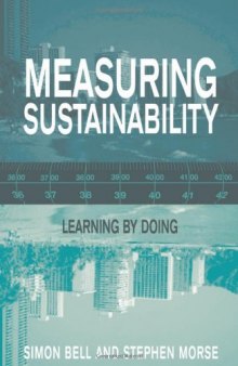 Measuring Sustainability: Learning by Doing