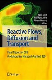 Reactive flows, diffusion and transport : from experiments via mathematical modeling to numerical simulation and optimization : final report of SFB (Collaborative Research Center) 359