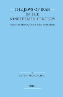 The Jews of Iran in the Nineteenth Century (Brill's Series in Jewish Studies. 40)